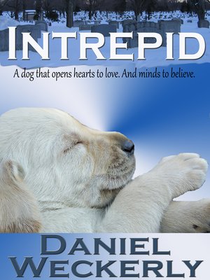 cover image of Intrepid